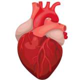 image for Cardiologist