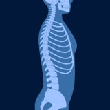 image for Chiropractic Radiologist