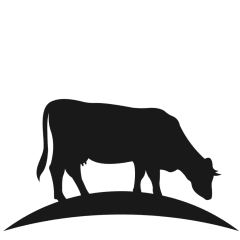 Livestock Feed Sales Representative Thumbnail