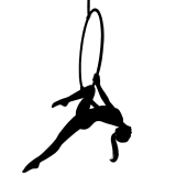 image for Aerialist